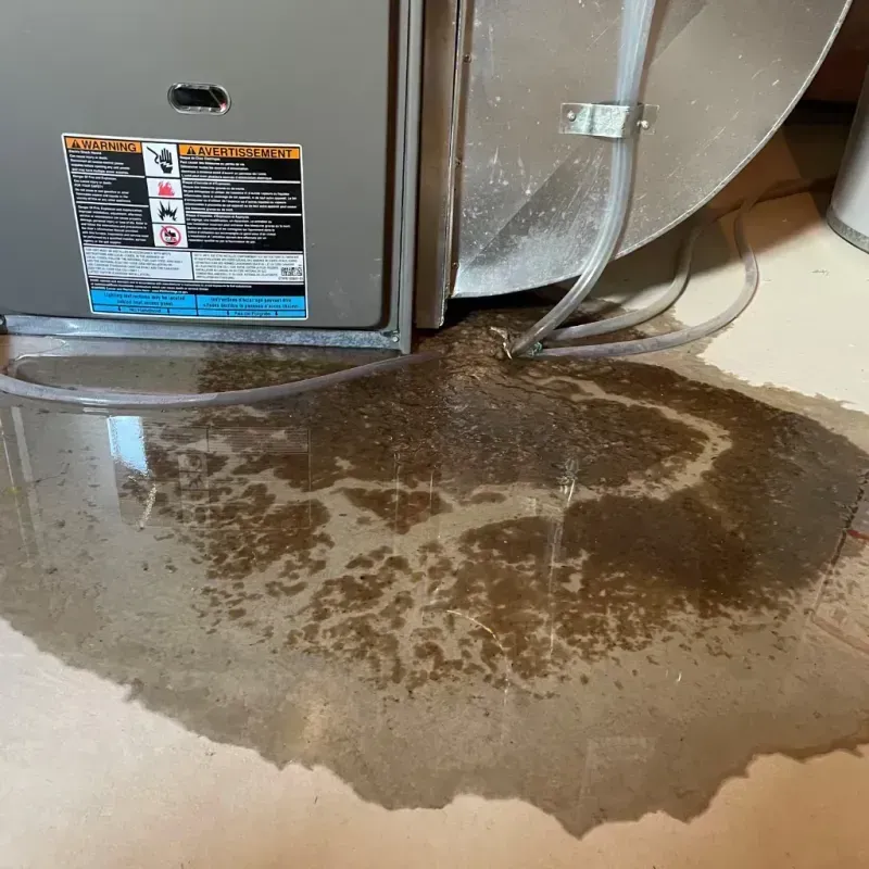 Appliance Leak Cleanup in Lake Lotawana, MO